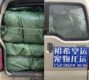 成都哪里可以发航空快递-空运急件-航空货运怎么收费的？成都裕希航空货运有限公司